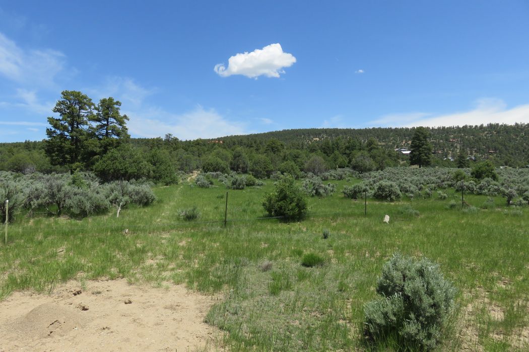 Tract A1 Laguna Vista, Los Ojos, NM 87551 Sotheby's International
