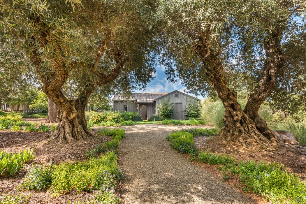 Oakville Luxury Estate Oakville Ca 94562 Sotheby S