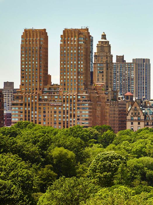 115 Central Park West Apt 30EF New York NY 10023 Sotheby s 115-central-park-west-apt-30ef-new-york-ny-10023-sotheby-s