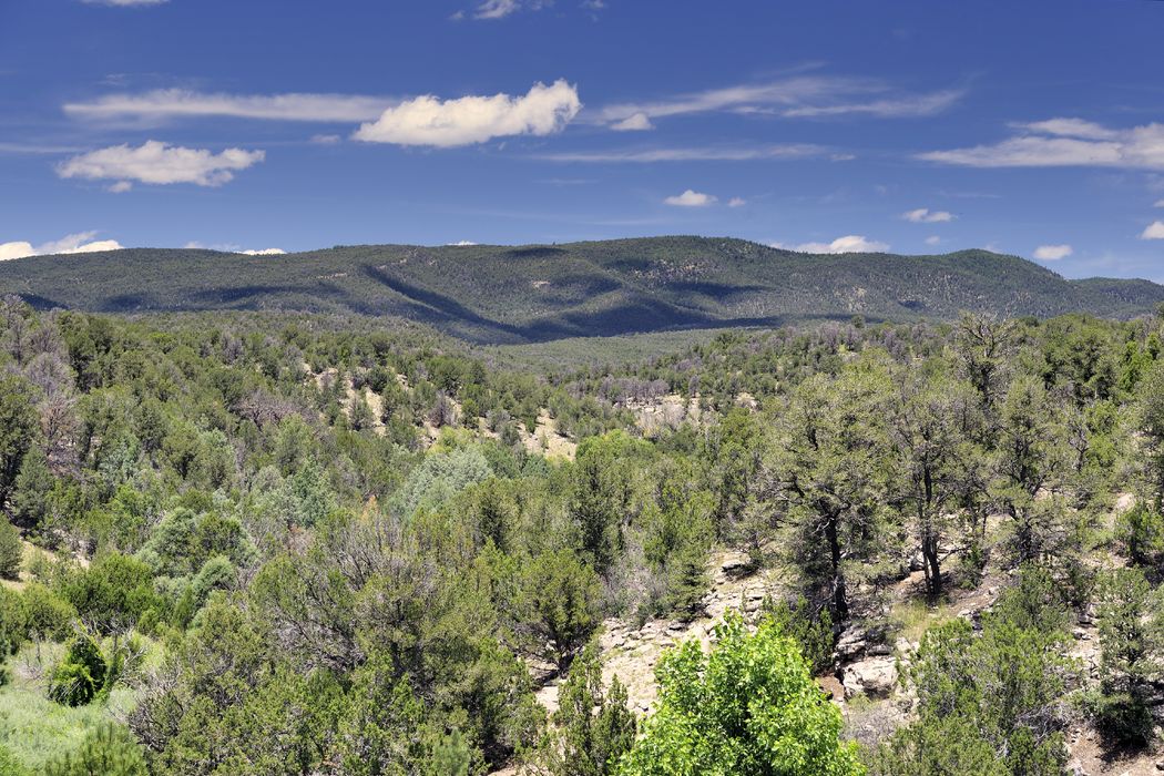 365 Calle Largo, San Jose, NM 87565 Sotheby's International Realty, Inc.