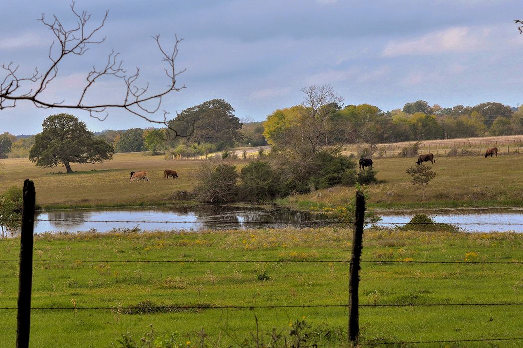 Fm 1280, Lovelady, TX 75851 Martha Turner Sotheby's International