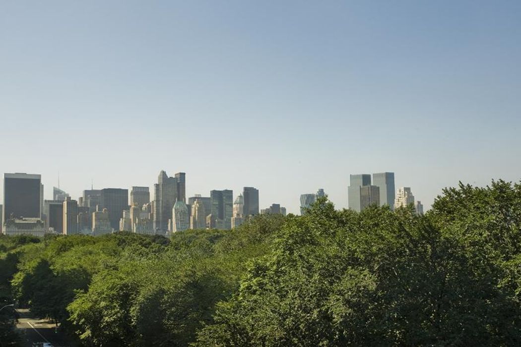 960 Fifth Avenue New York, NY 10075