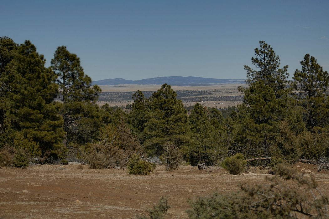 Las Vegas Mountain Ranch, Las Vegas, NM 87701 Sotheby's International