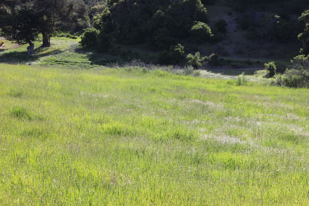 11705 Camino Escondido Road, Carmel Valley, CA 93924 Sotheby's