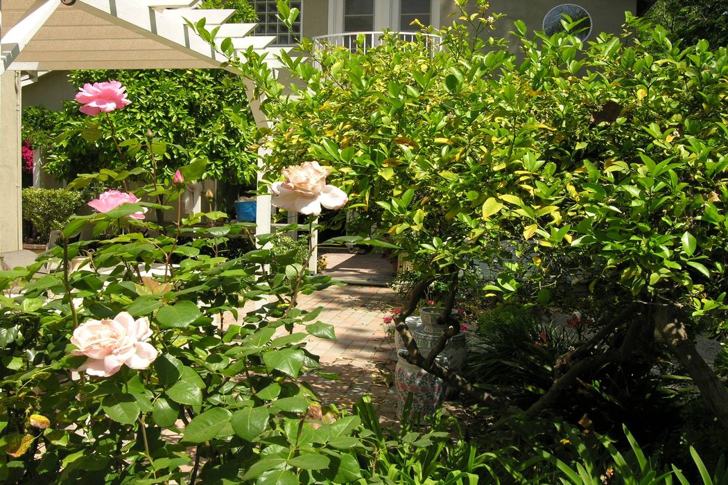 Colfax Meadows Homes For Sale Colfax Meadows Homes For Sale