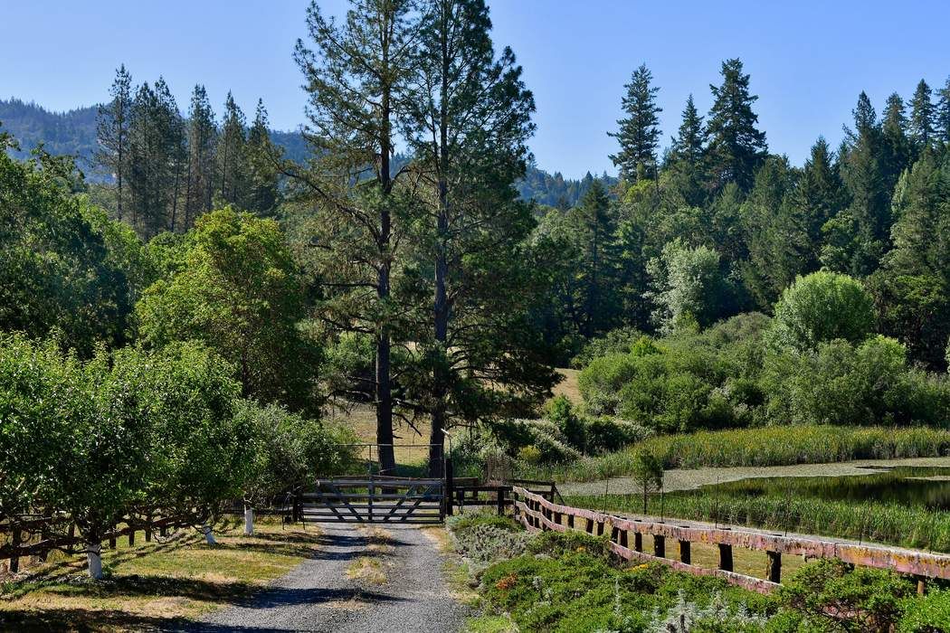 18400 Walker Rd, Willits, CA 95490 Sotheby's International Realty, Inc.