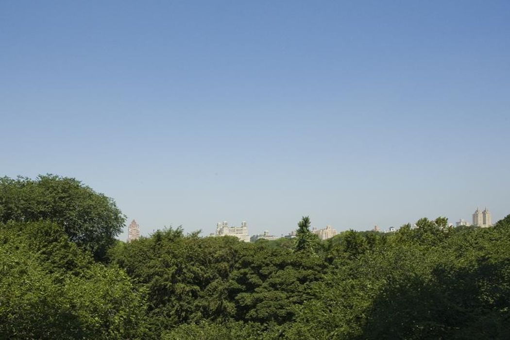 960 Fifth Avenue New York, NY 10075