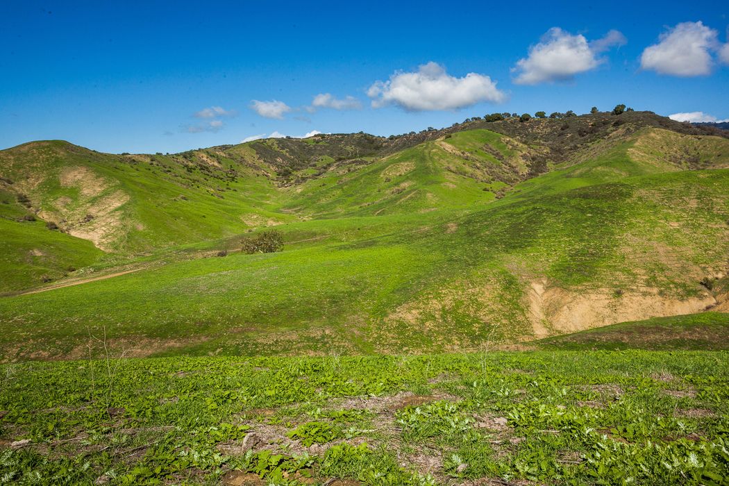 3739 Wheeler Canyon, Santa Paula, CA 93060 Sotheby's International