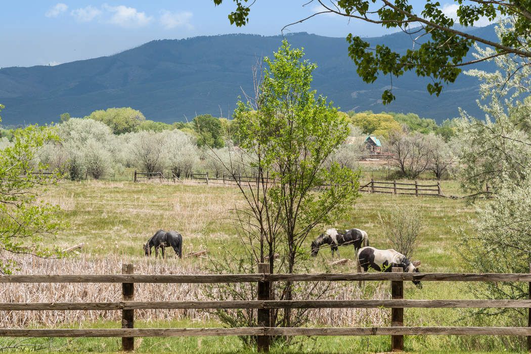 Turtle Walk, Taos, NM 87571 Sotheby's International Realty, Inc.