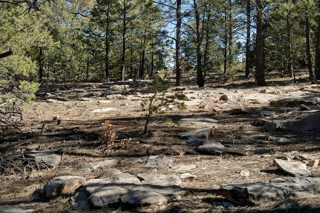 Las Vegas Mountain Ranch, Las Vegas, NM 87701 Sotheby's International