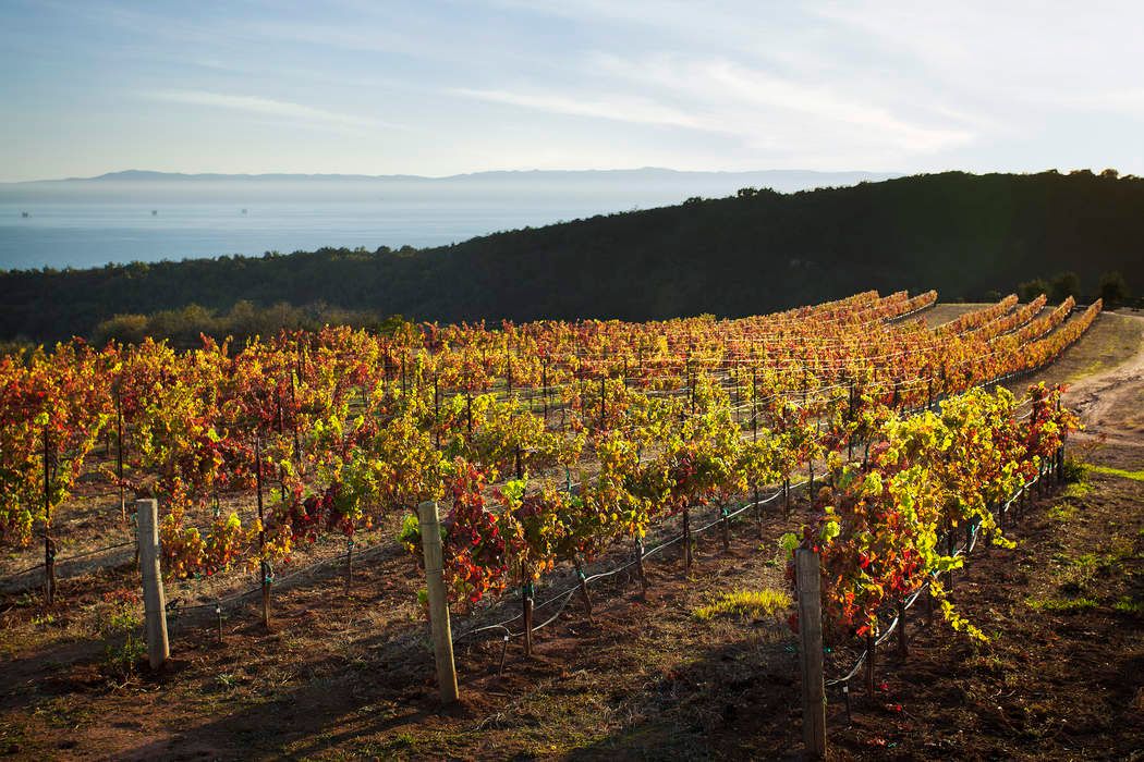 3578 Toro Canyon Park Road, Santa Barbara, CA 93108 Sotheby's