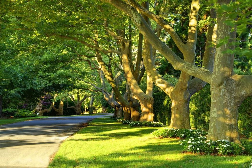 Lily Pond Lane, East Hampton East Hampton, NY 11937 Sotheby's