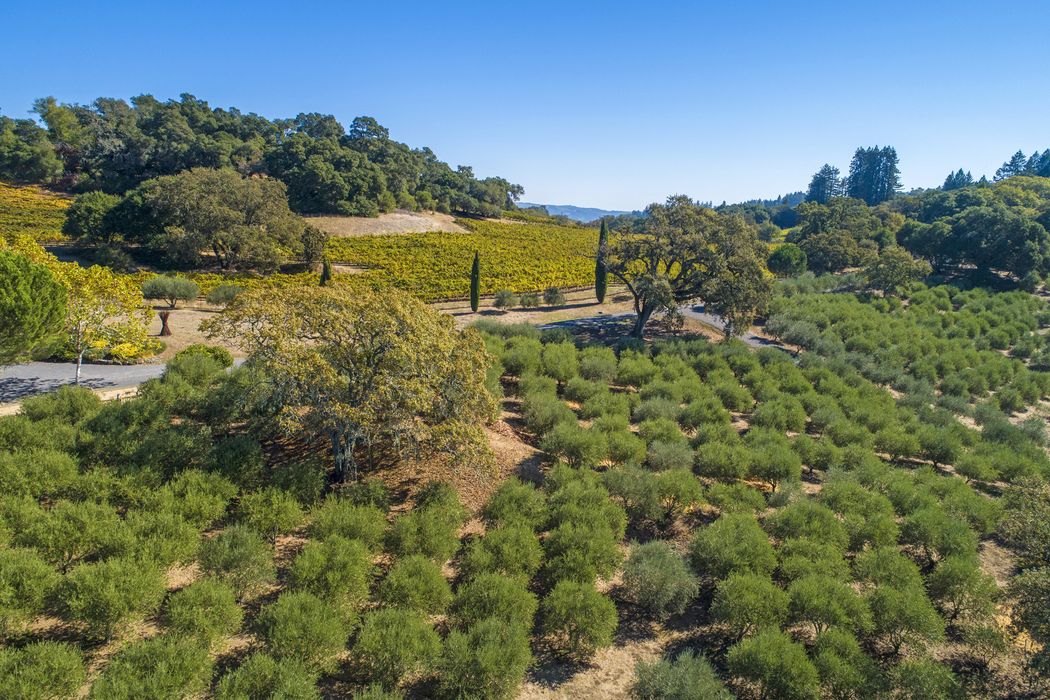 8189 Sonoma Mountain Rd, Glen Ellen, CA 95442 Sotheby's International