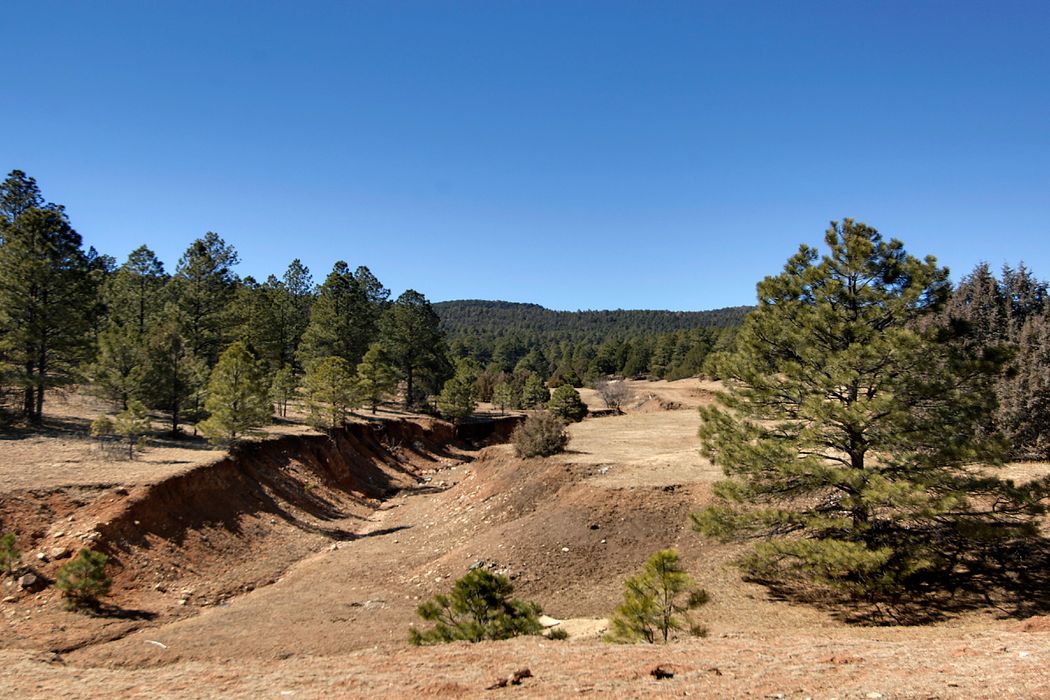 Las Vegas Mountain Ranch, Las Vegas, NM 87701 Sotheby's International