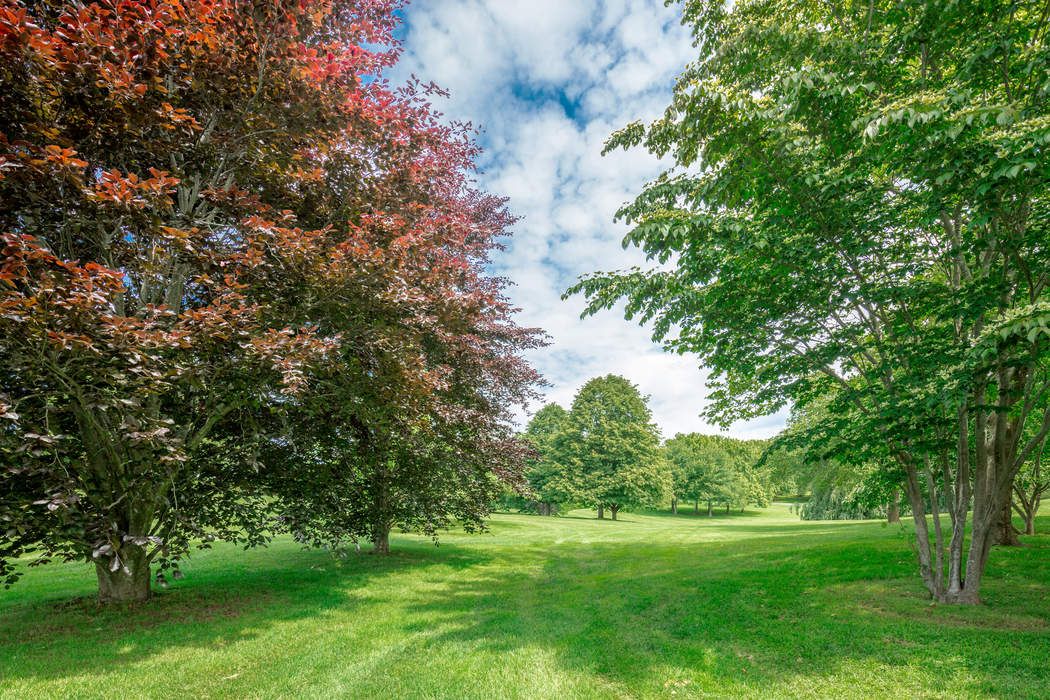 bridgehampton ny homes