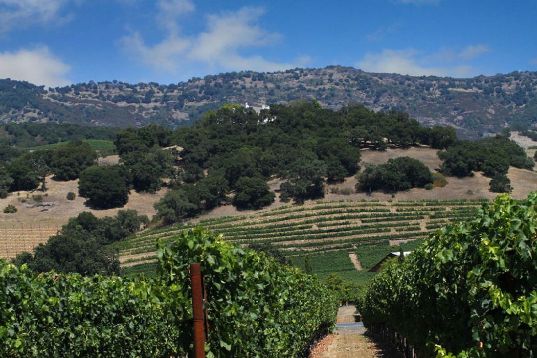 5440 Silverado Trail, Napa, CA 94558 Sotheby's International Realty, Inc.