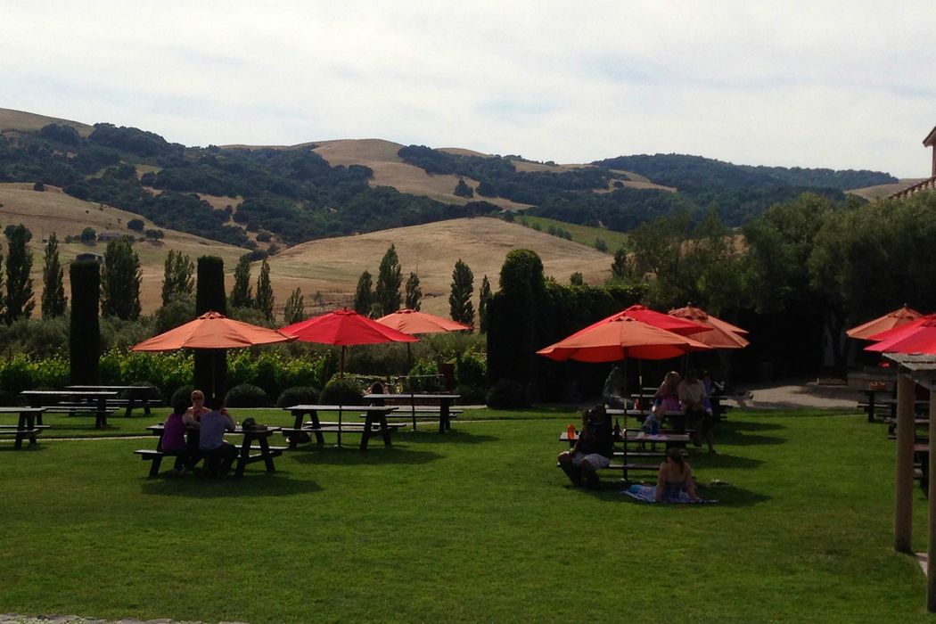 25200 Arnold Drive, Sonoma, CA 95476 Sotheby's International Realty, Inc.