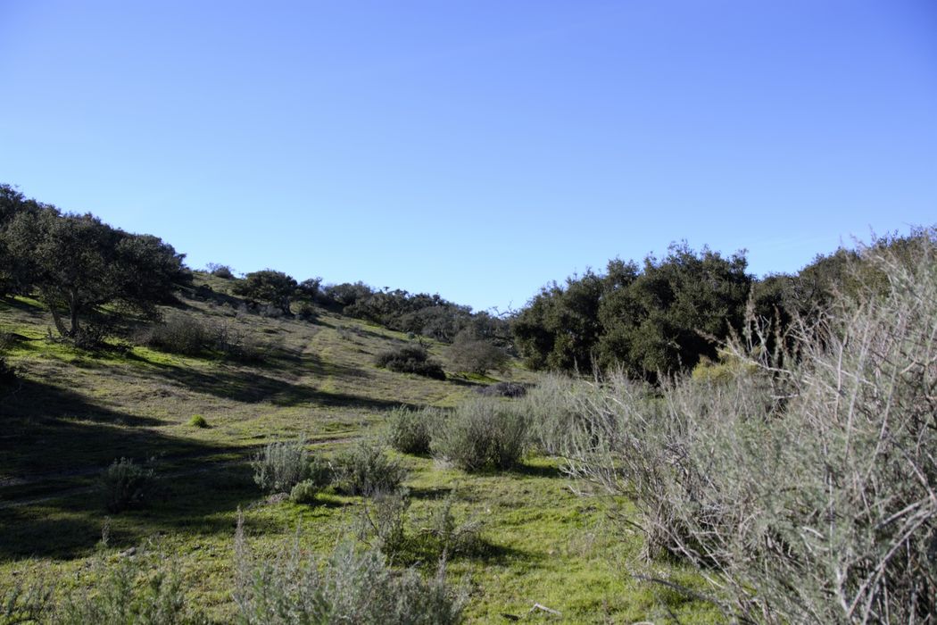 000 Hwy 101, Orcutt, CA 93455 Sotheby's International Realty, Inc.