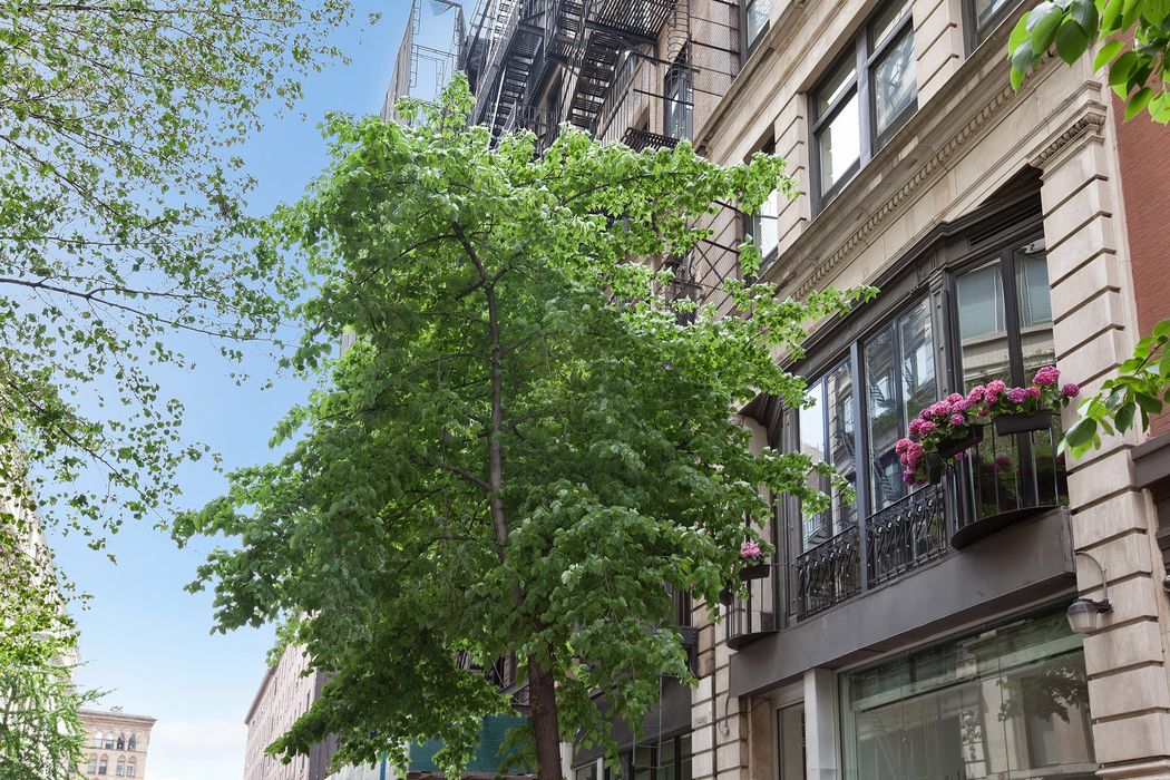 54 East 11th Street 2nd Floor, New York, NY 10003 Sotheby's