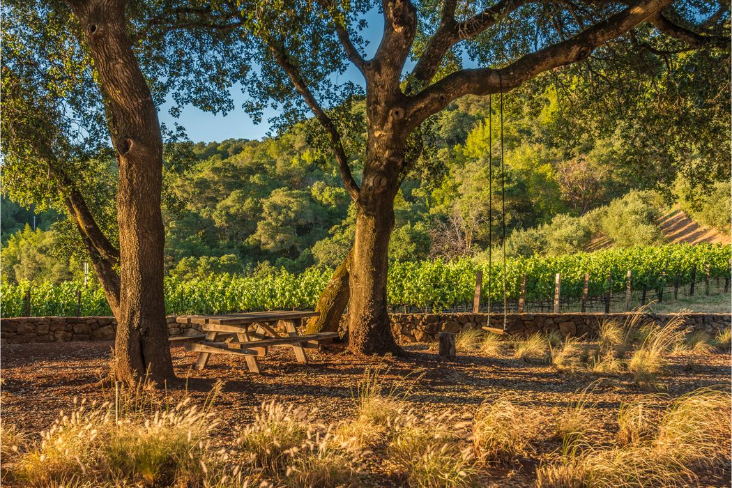 14363 Sonoma Hwy 12, Glen Ellen, CA 95442 Sotheby's International