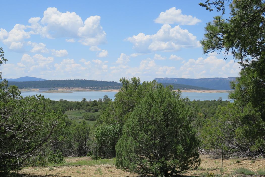 Tract A1 Laguna Vista, Los Ojos, NM 87551 Sotheby's International