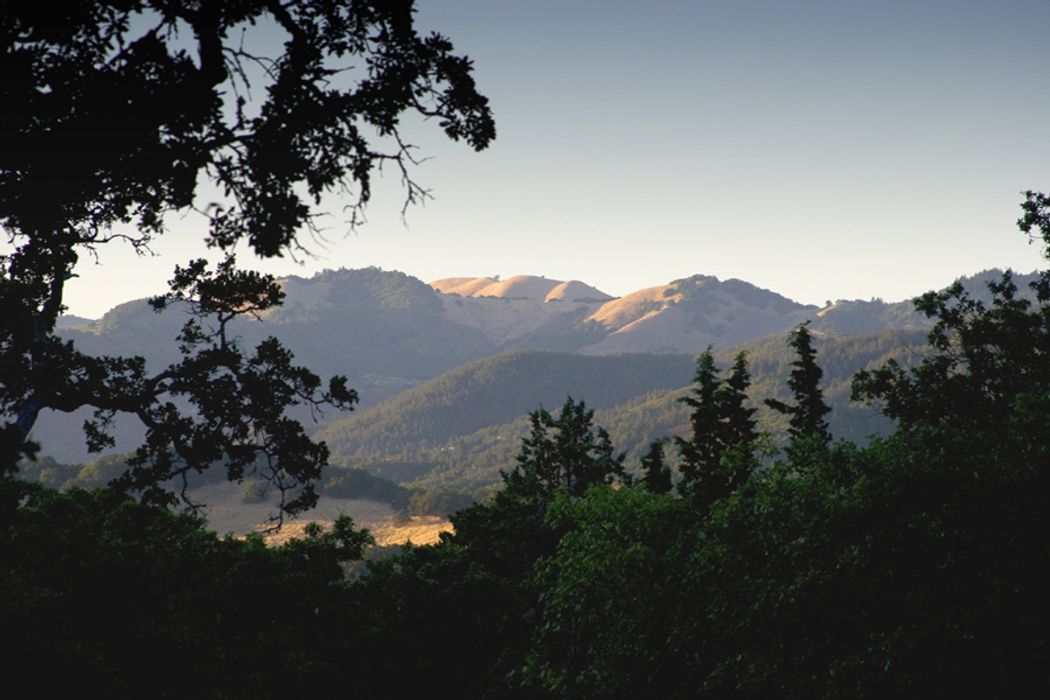 The Historic Spreckels House Sonoma, CA 95476 Sotheby's International