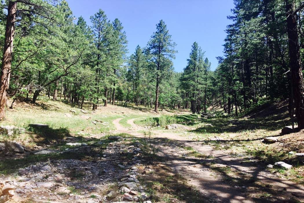 Mineral Hill Ranch, Las Vegas, NM 87701 Sotheby's International