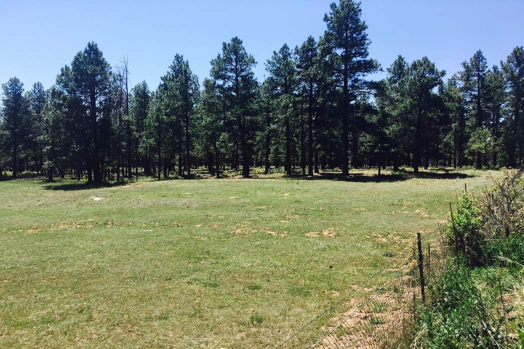 Mineral Hill Ranch, Las Vegas, NM 87701 Sotheby's International