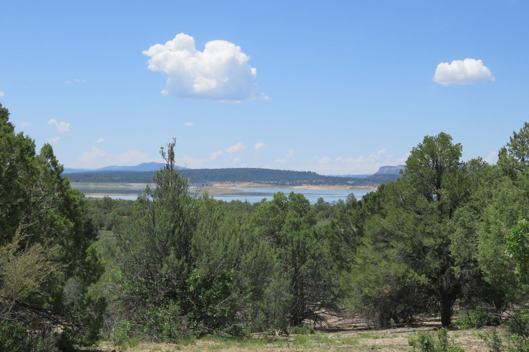 Tract A1 Laguna Vista, Los Ojos, NM 87551 Sotheby's International