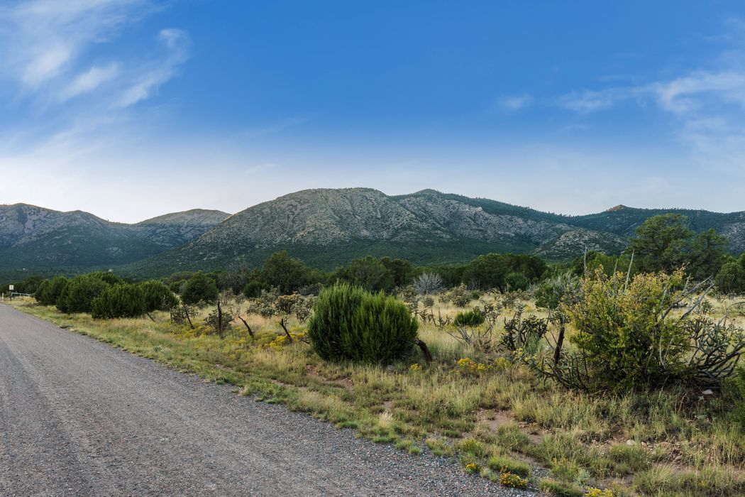 88 Sandoval Road, Edgewood, NM 87015 Sotheby's International Realty, Inc.