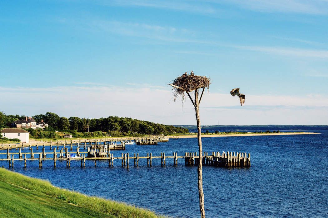 Most Extraordinary WorldClass Estate Shelter Island, NY 11964