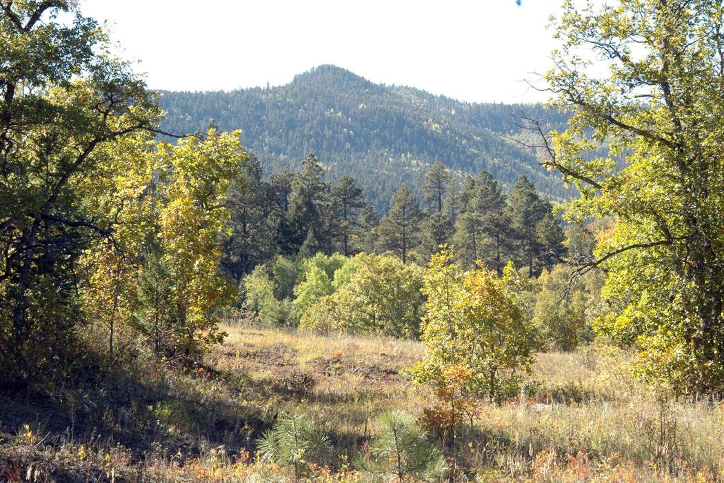 163.74 Acres Los Alamitos Rd, Chacon, NM 87713 Sotheby's