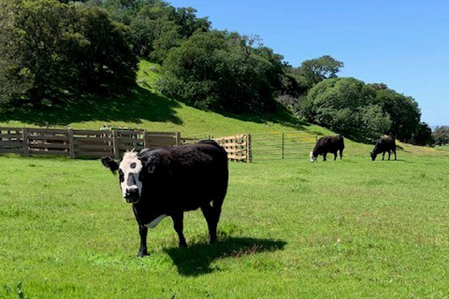 30010 Chualar Canyon, Chualar, CA 93925