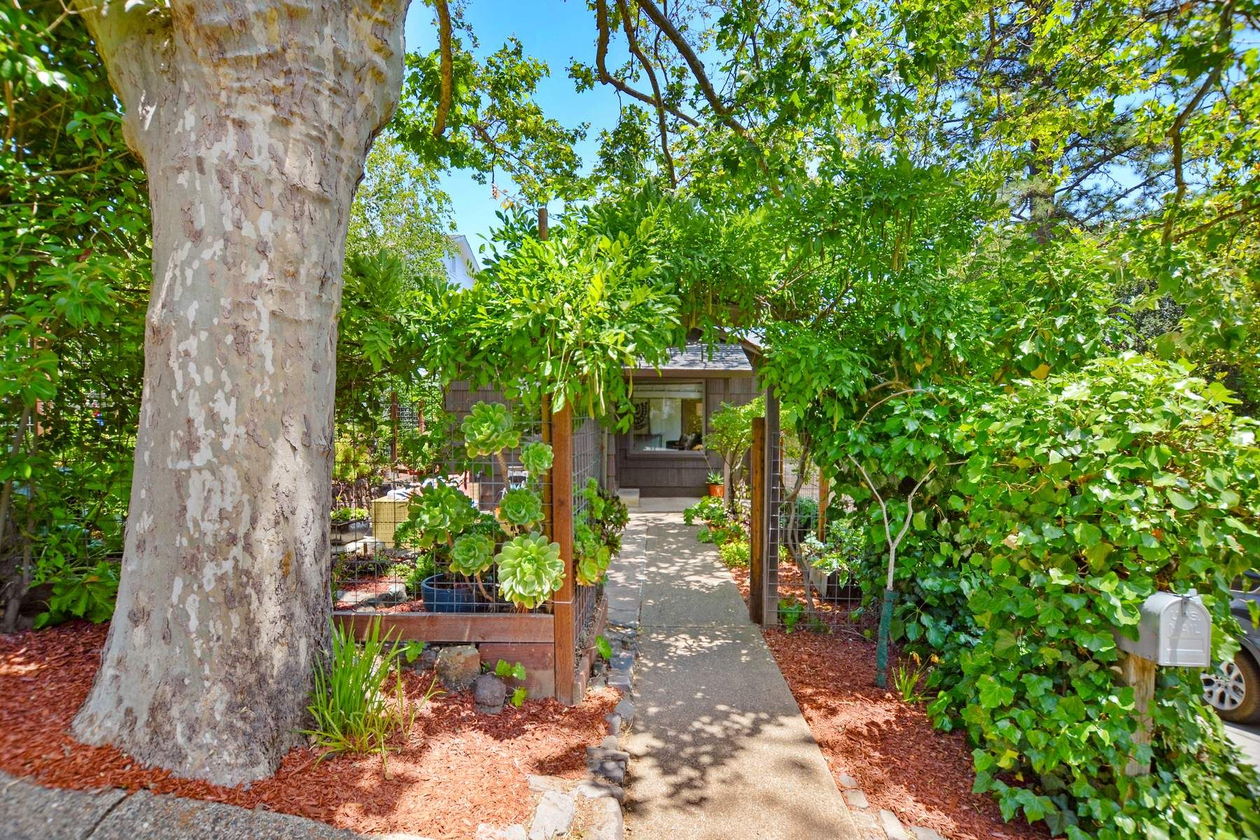 12 Sheila Court, San Anselmo, CA 94960