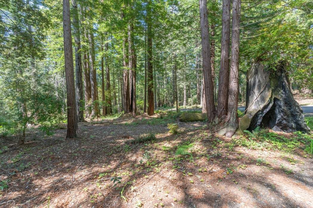 35271 Timber Ridge Road, The Sea Ranch, CA 95497